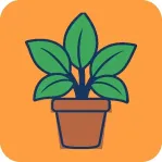 PG模拟器｜8月18日新作登场：橄榄球赛场搬进屏幕｜午后手记·发布节奏回顾 新闻配图 1